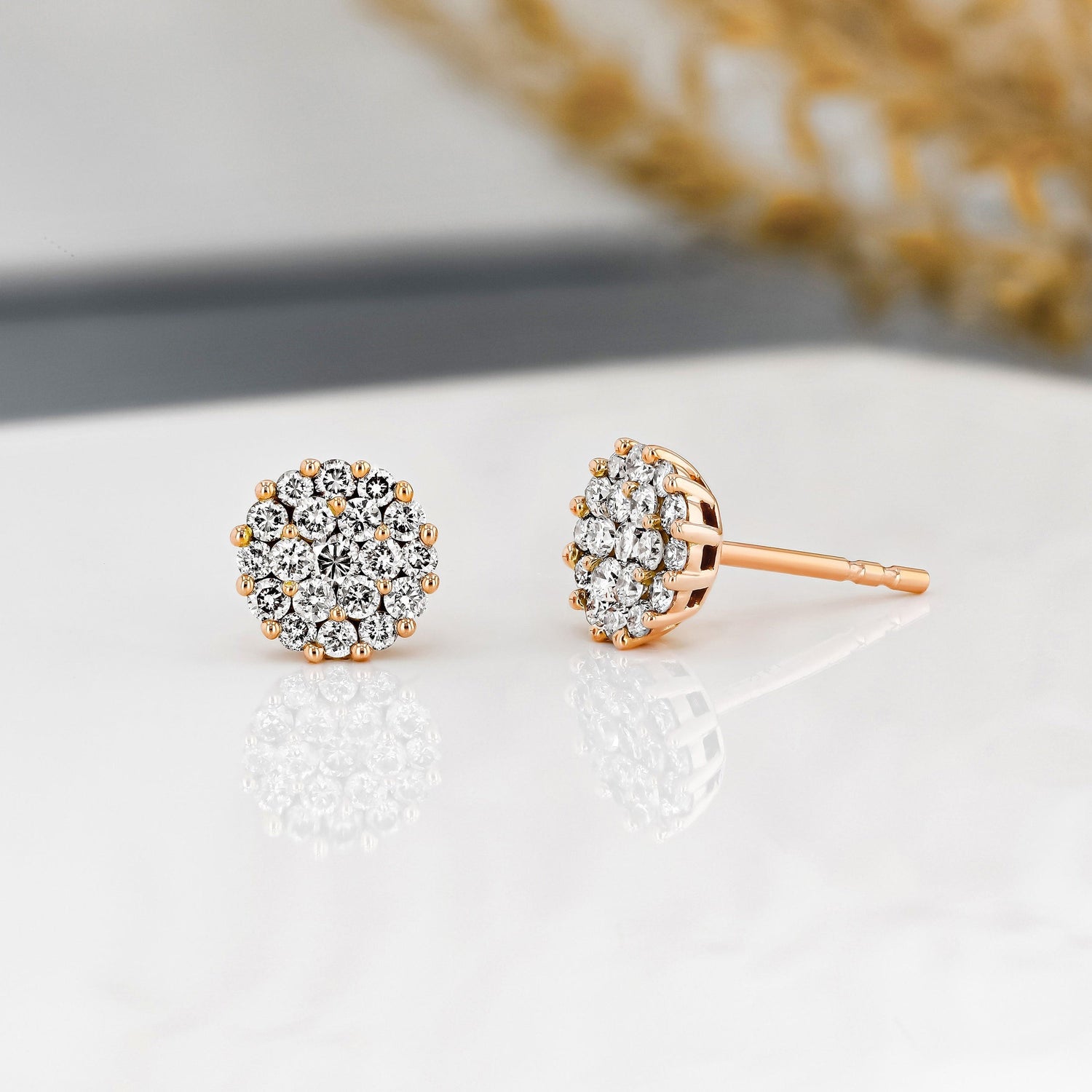 Moissanite 2.0CT ronde diamant mode oorbel