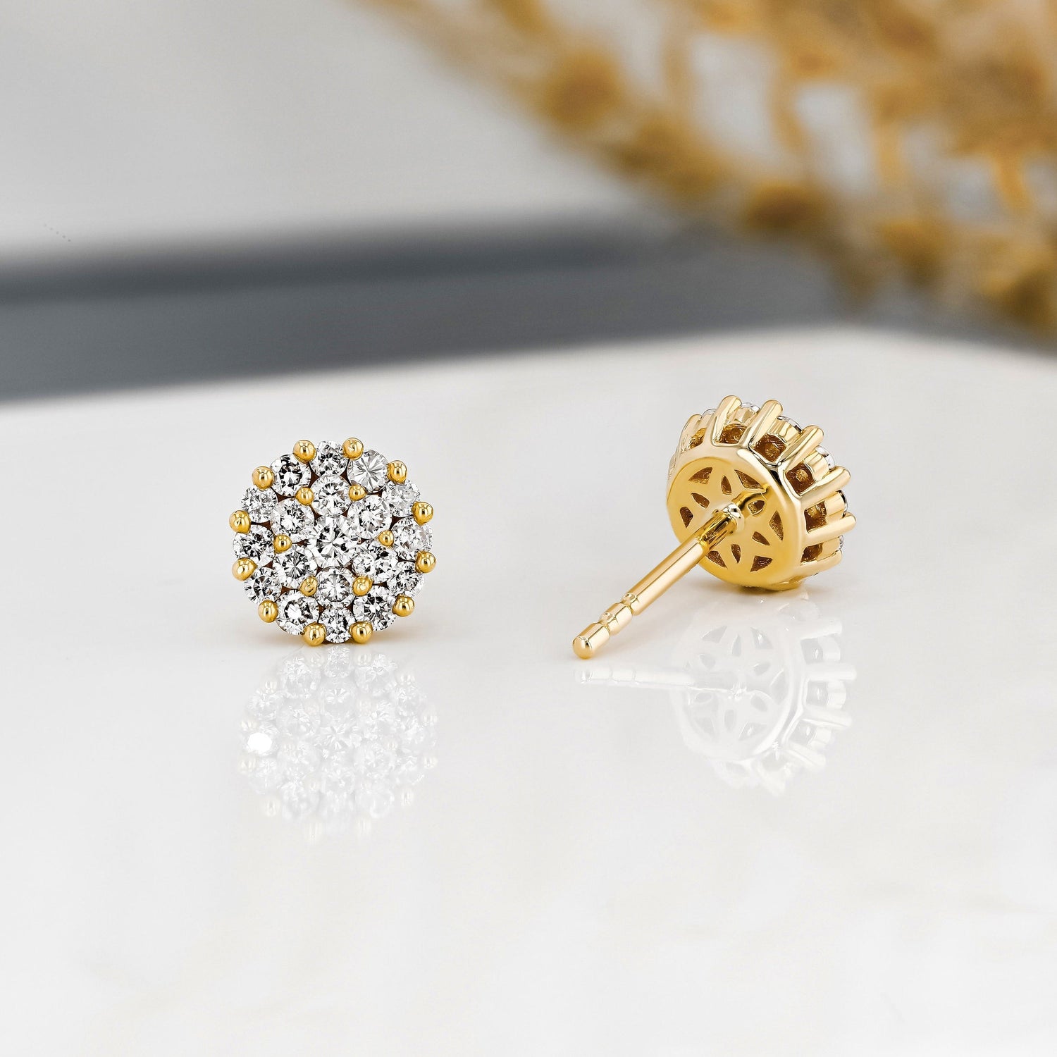 Moissanite 2.0CT ronde diamant mode oorbel